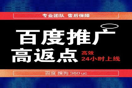 百度运营推广策略：成功案例解析